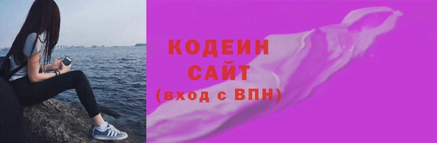 гидропоника Инта