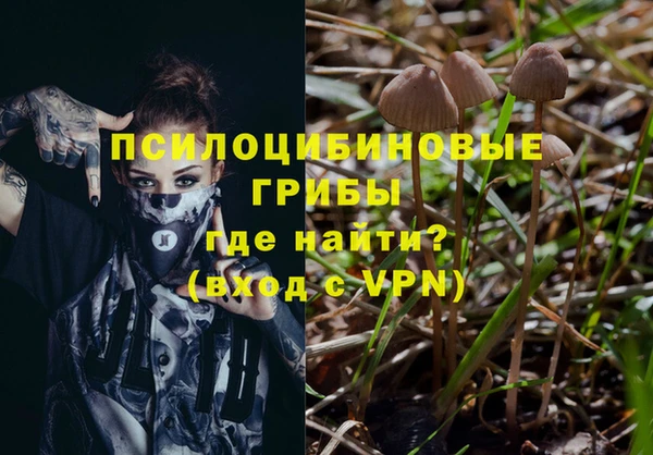 гидропоника Инта