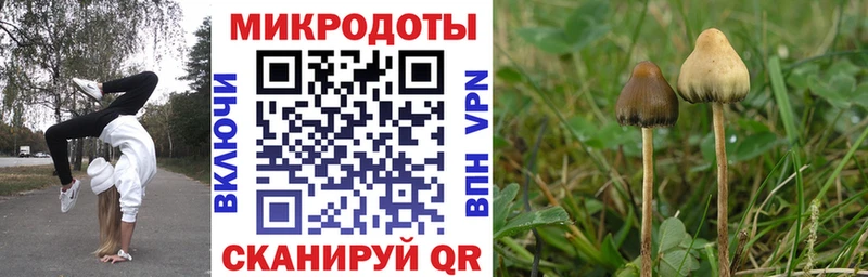 Купить закладки  Баксан  Псилоцибиновые грибы прущие грибы 